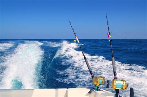 如何海釣 一江山島：探索海釣技巧與島嶼風情的交融之處